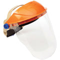 PRO - Striker Browguard Visor With Chinguard