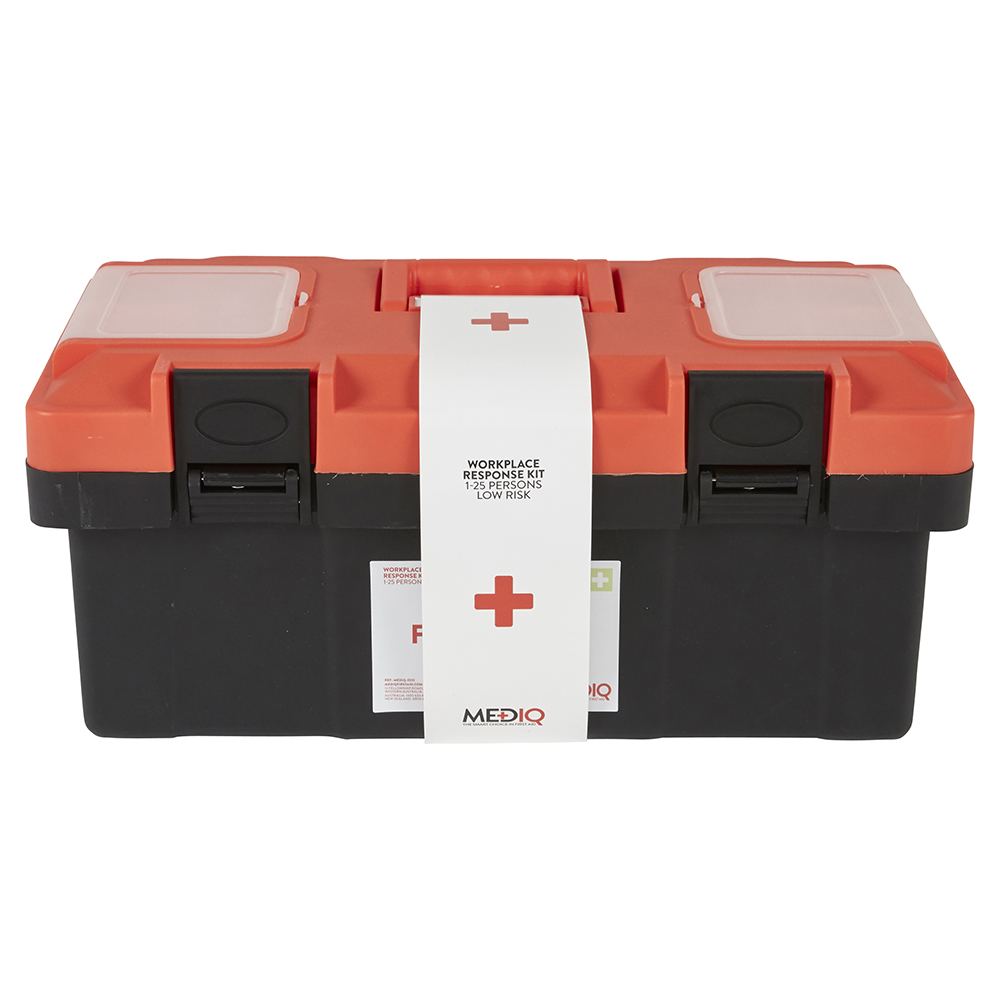 PRO - Essential Workplace Response First Aid Kit In Plastic Tackle Box