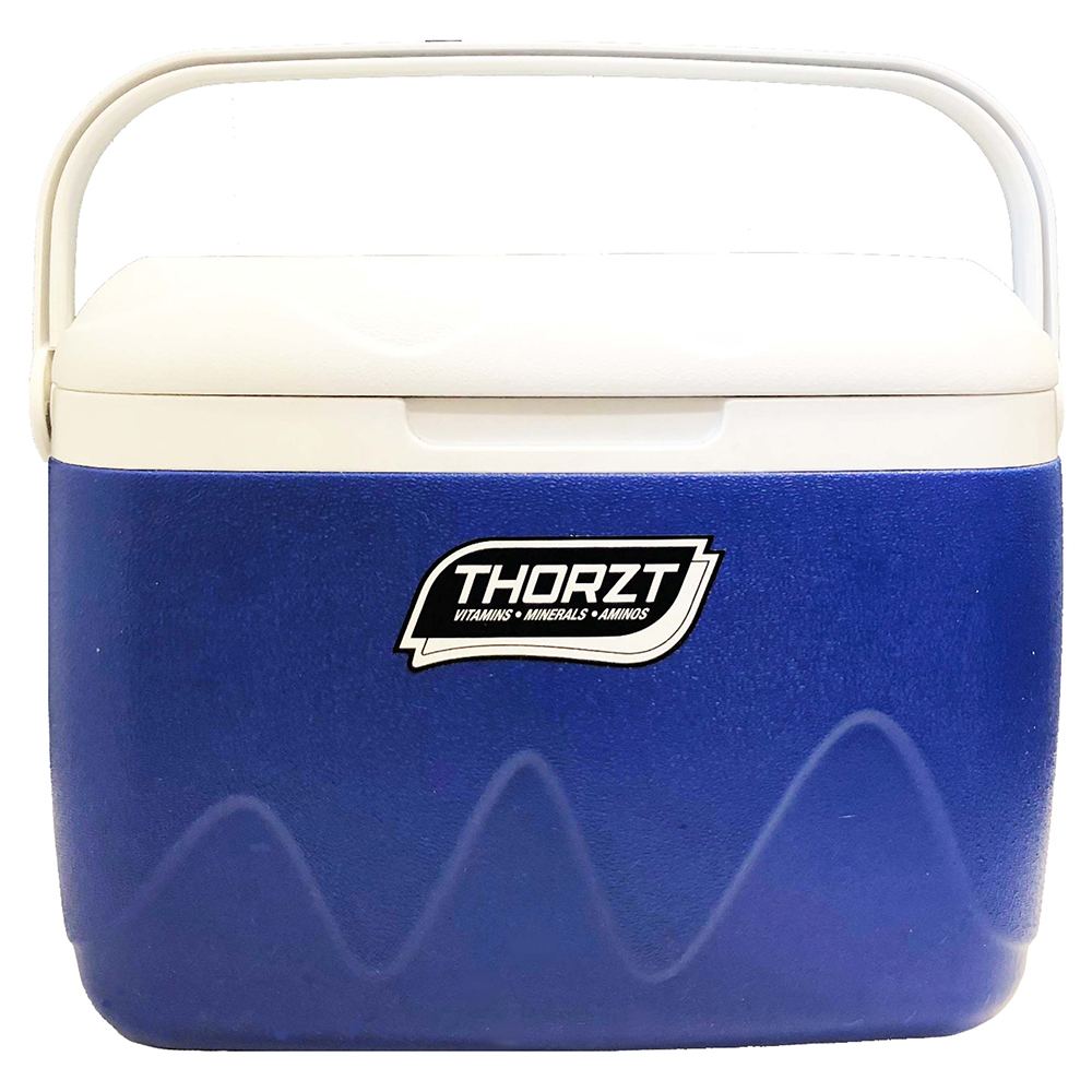 Thorzt - 21L Ice Box
