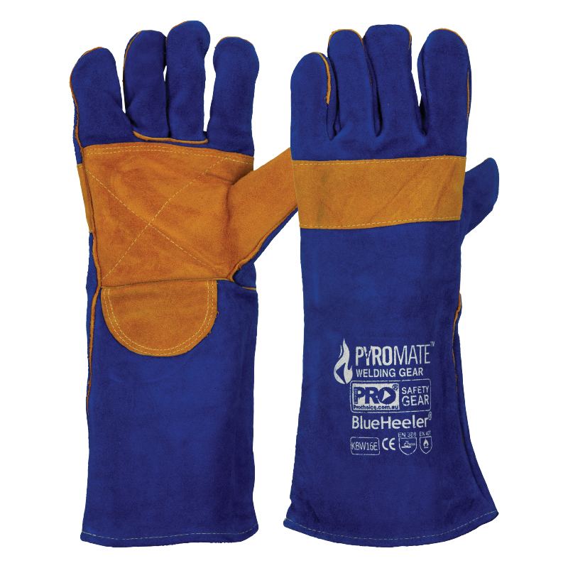 PRO - Pyromate Blue Heeler - Blue & Gold Large